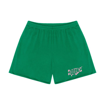 Apteka24x7 Logo Green Mesh Shorts